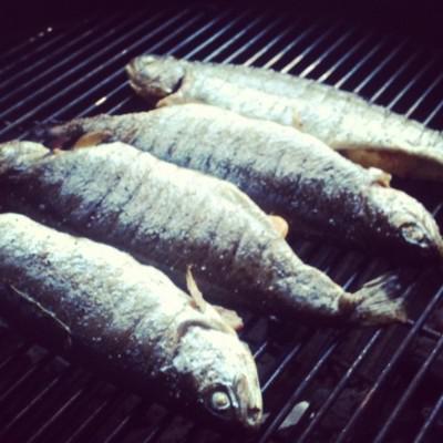 How to grill a whole fish? Grilled Trout