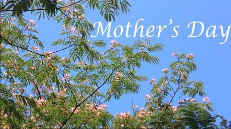 The Top 10 Things You Won’t Find in “Beneath the Mimosa Tree” and 8 Reasons Why Your Mother Will Like It