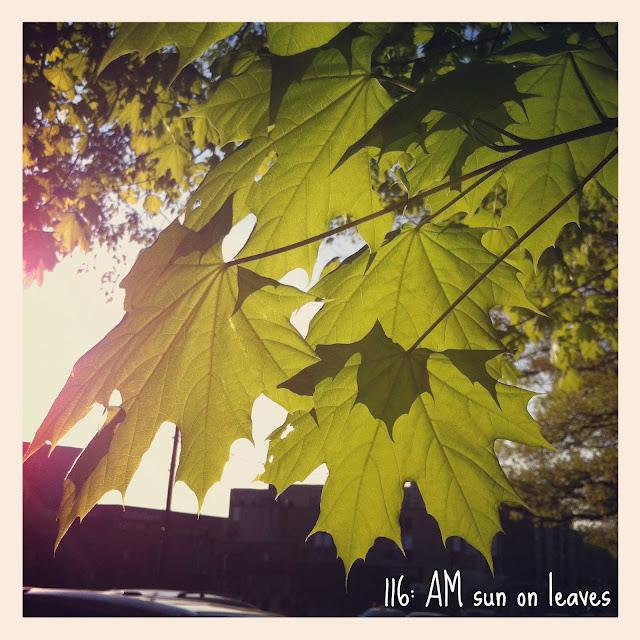17 weeks around the sun - instagram style 17 weeks around the sun - instagram style