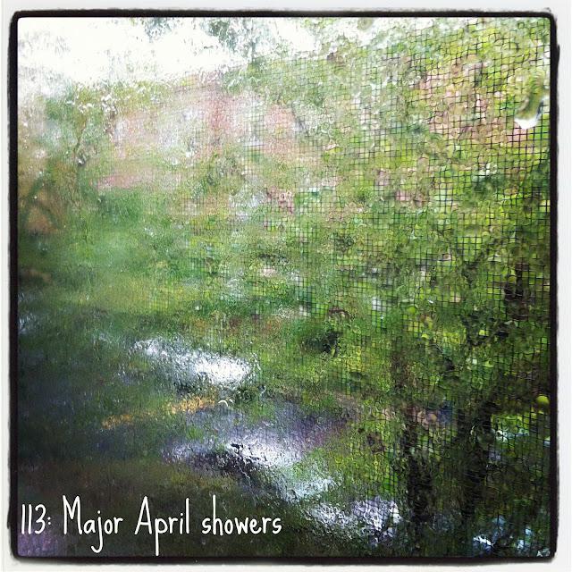 17 weeks around the sun - instagram style 17 weeks around the sun - instagram style