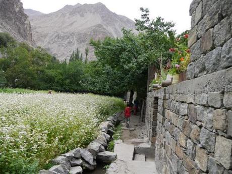 The Baltistan village of Turtuk, Ladakh