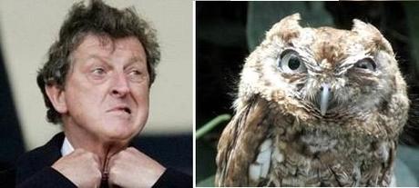 roy-hodgson-the-first-owl-look-a-like-to-mana-L-vjCGIN.jpeg