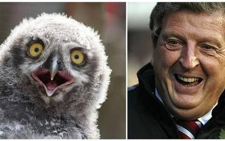 Roy Hodgson: The first owl look-a-like to manage the England football team