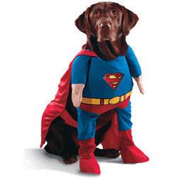 Can Super Moons Create Super Pets? Can Super Moons Create Super Pets?