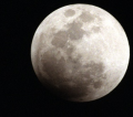 Can Super Moons Create Super Pets? Can Super Moons Create Super Pets?