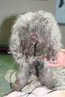 Clean Cut Senior White Male Seeks ... Clean Cut Senior White Male Seeks ...