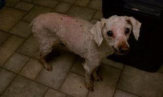 Clean Cut Senior White Male Seeks ... Clean Cut Senior White Male Seeks ...