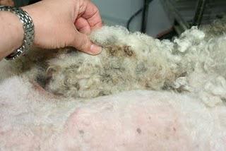 Clean Cut Senior White Male Seeks ... Clean Cut Senior White Male Seeks ...