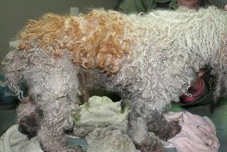 Clean Cut Senior White Male Seeks ... Clean Cut Senior White Male Seeks ...