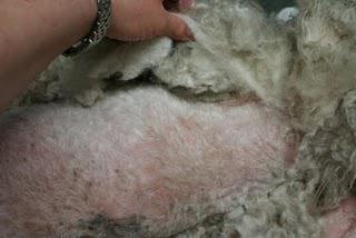 Clean Cut Senior White Male Seeks ... Clean Cut Senior White Male Seeks ...