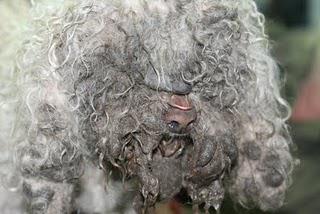 Clean Cut Senior White Male Seeks ... Clean Cut Senior White Male Seeks ...