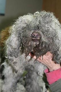 Clean Cut Senior White Male Seeks ... Clean Cut Senior White Male Seeks ...