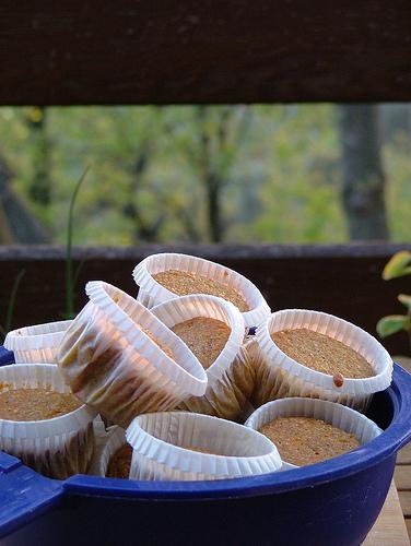 Spelt-Buckwheat and carrot muffins - WHB #278 spelt, buckwheat and carrot muffins