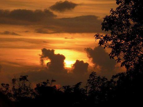 Another beautiful Osa sunset Sunset over the Osa