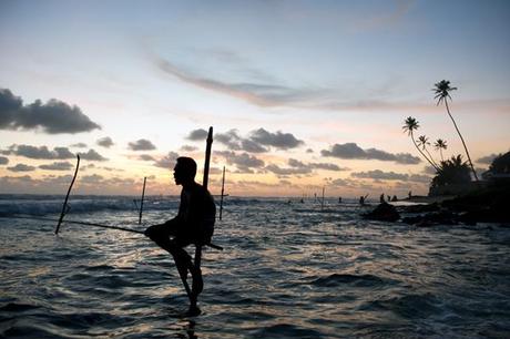 Sri Lanka Top tips for taking great images on honeymoon