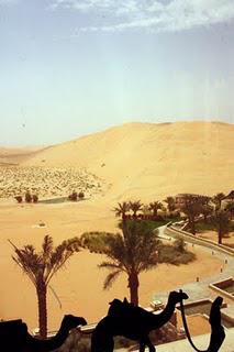 A taste of the desert A taste of the desert