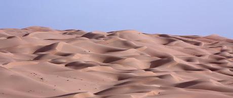 A taste of the desert A taste of the desert