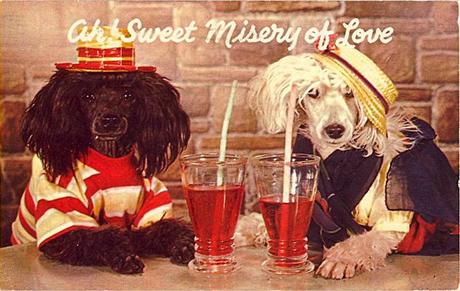 tumblr_learcpz6xM1qbyf2jo1_1280 vintage Dog postcard Stocklist
