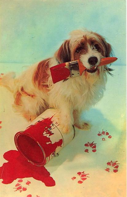 tumblr_lfy2s4Zhj81qbyf2jo1_1280 vintage Dog postcard Stocklist