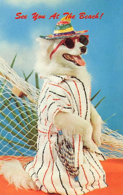 tumblr_le631jq3dO1qbyf2jo1_1280 vintage Dog postcard Stocklist
