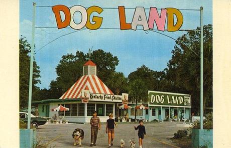 tumblr_l93oktDASn1qbyf2jo1_1280 vintage Dog postcard Stocklist