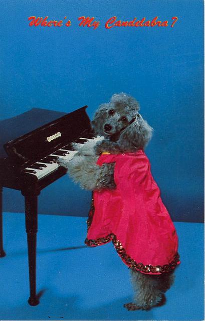tumblr_les9a9W8PH1qbyf2jo1_1280 vintage Dog postcard Stocklist