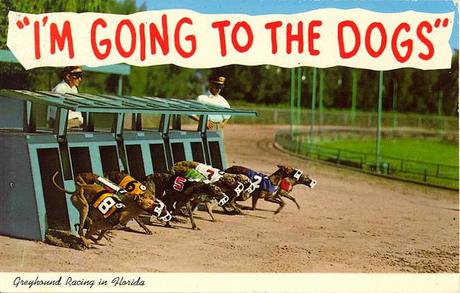 tumblr_lgouglFW591qbyf2jo1_1280 vintage Dog postcard Stocklist