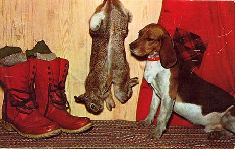 tumblr_ld63d6axcg1qbyf2jo1_1280 vintage Dog postcard Stocklist