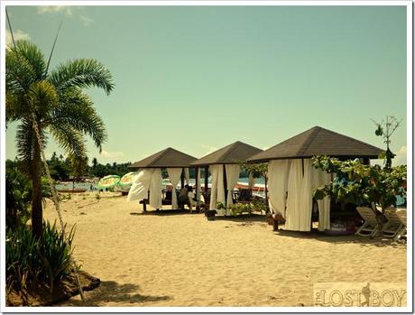 laiya1 laiya1