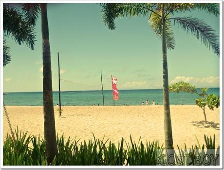 laiya8 laiya8