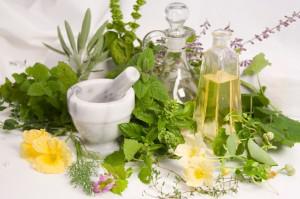 Herbal arrangement Fighting Radiation Exposure – Naturally
