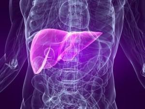 Fatty Liver – The Secret Cause of Many Health Concerns