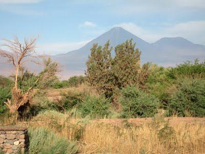 Chile's Atacama Desert: Part I Chile's Atacama Desert: Part I