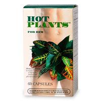 hot plants men Top Herbs For Boosting Your Libido