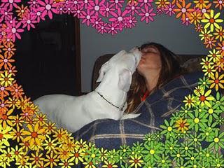 Bring Hanah Home: Dog Missing after Joplin Tornado Bring Hanah Home: Dog Missing after Joplin Tornado