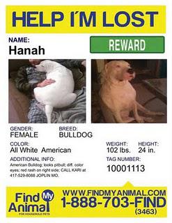 Bring Hanah Home: Dog Missing after Joplin Tornado Bring Hanah Home: Dog Missing after Joplin Tornado