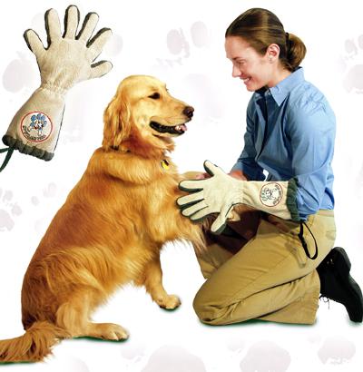 The Spotless Paw Glove is easy to use