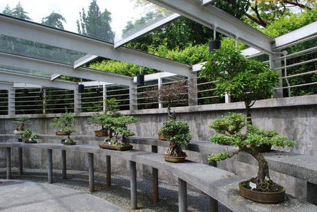 Singapore Bontanical Gardens