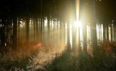 Incredible Crepuscular Rays - Sunbeams Caught On Camera