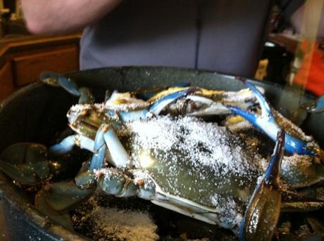 Hilarys I Phone Drop 5.6.2012 088 650x485 Homemade Maryland Blue Crabs