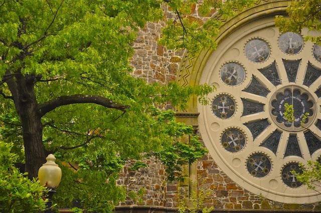 May showers. Green and Flowers. May showers. Green and Flowers.