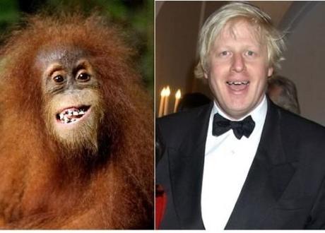 Boris Johnson: London’s first mayor to look (almost exactly) like an orangutan
