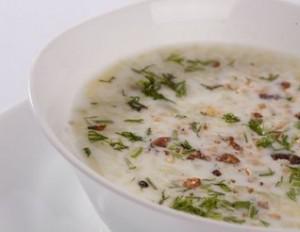 Cold Soup with Yoghurt, Cucumber & Garlic