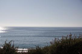 Travel Thursday Portugal: Algarve Eats 20111128-213921.jpg