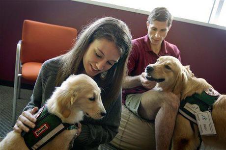 Colleges go to the dogs for stress busters