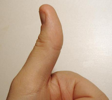 Learn english: Closer view of a human thumb