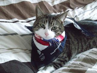 Outfit of the Day: Supporting Team GB with Next