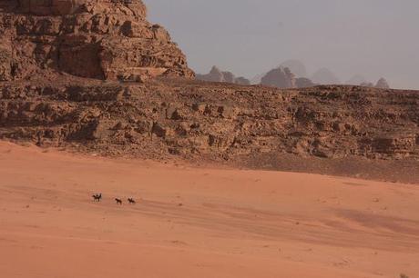 When running hot water is a luxury I could live without - Wadi Rum