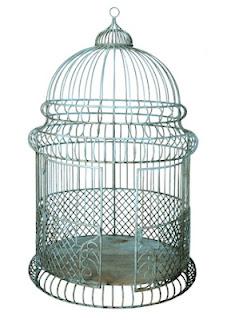 Bird Cages... Why Not?