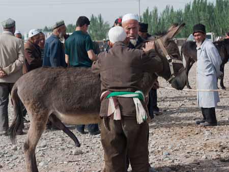 Two men bartering over a donkey